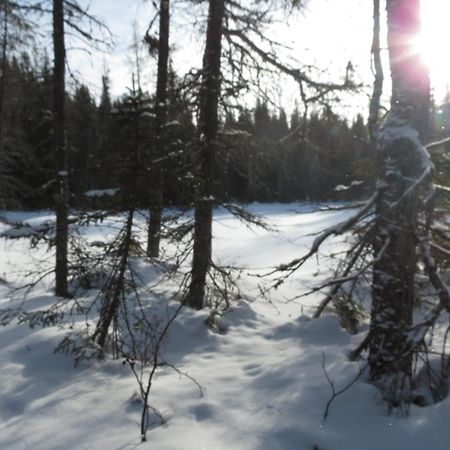 Residence Touristique Lodge Des Bois Saint-Félix-d'Otis 外观 照片