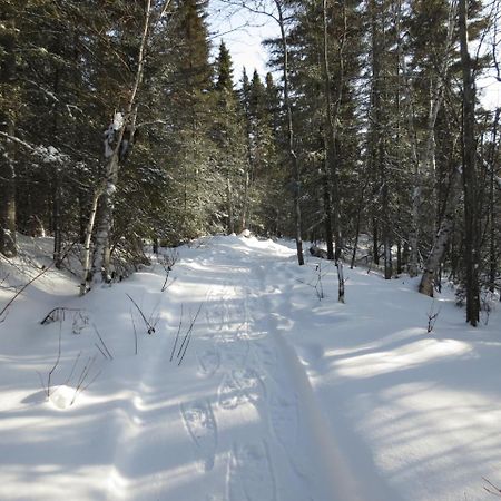 Residence Touristique Lodge Des Bois Saint-Félix-d'Otis 外观 照片