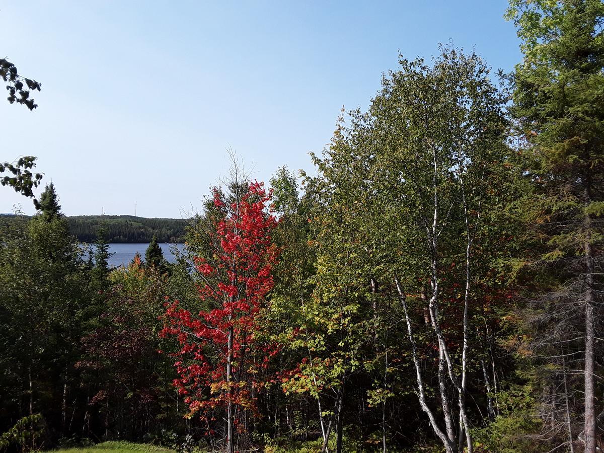 Residence Touristique Lodge Des Bois Saint-Félix-d'Otis 外观 照片