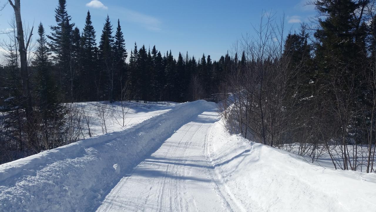 Residence Touristique Lodge Des Bois Saint-Félix-d'Otis 外观 照片