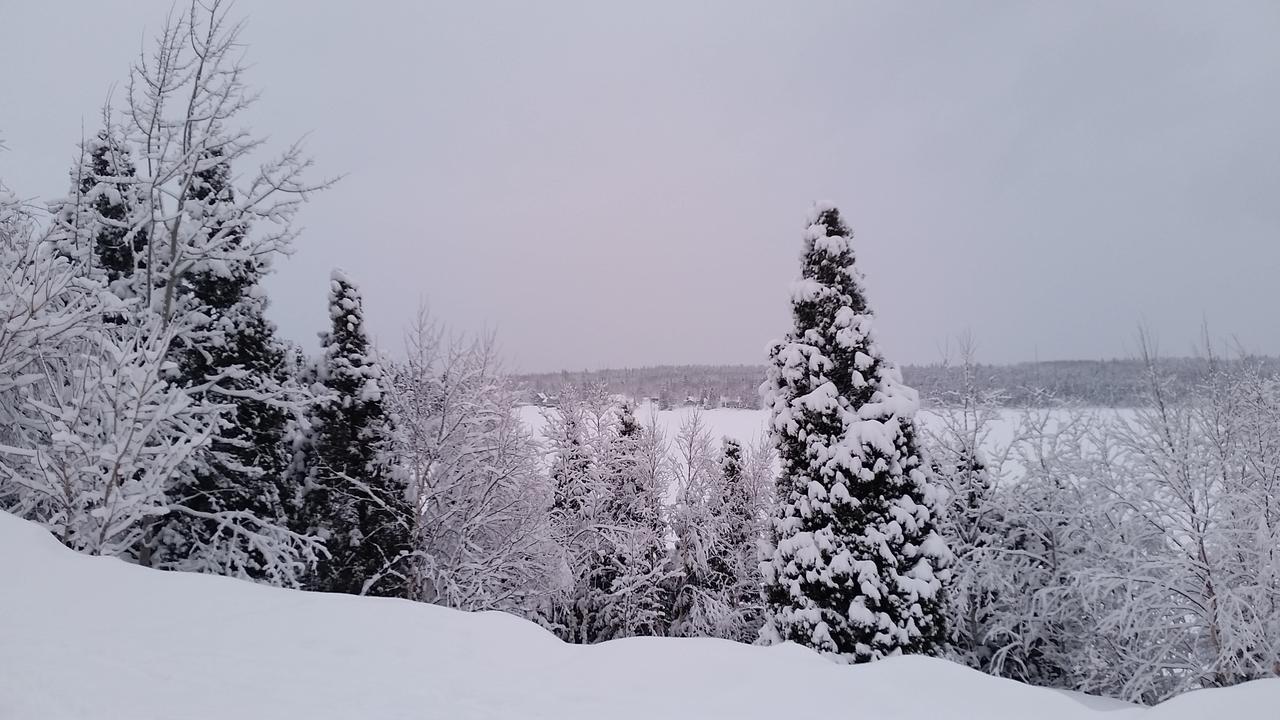 Residence Touristique Lodge Des Bois Saint-Félix-d'Otis 外观 照片