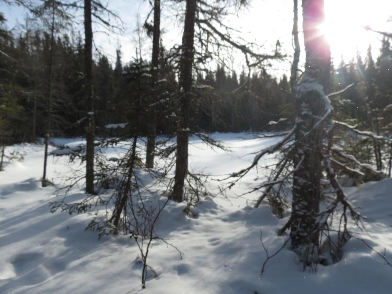 Residence Touristique Lodge Des Bois Saint-Félix-d'Otis 外观 照片